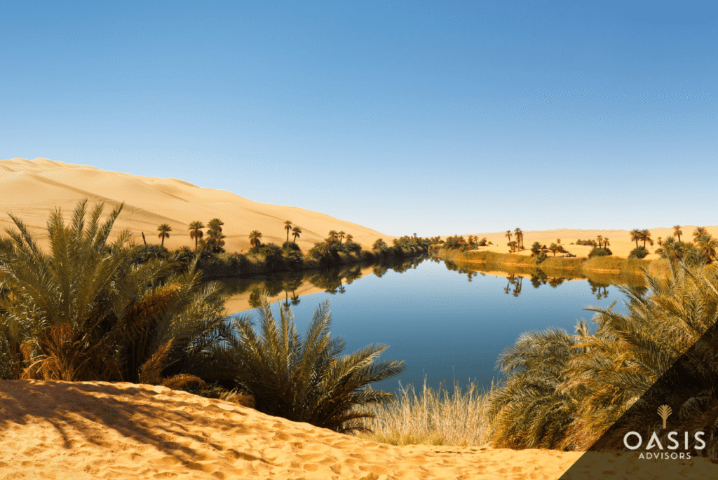The OASIS financial planning process is built around you — learn what to expect and how it can evolve alongside your goals and circumstances.